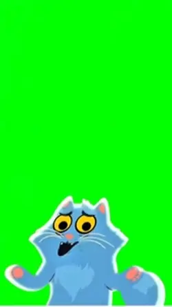 Cat singing