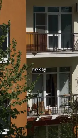 my day 