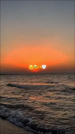 Yeni Şablon 