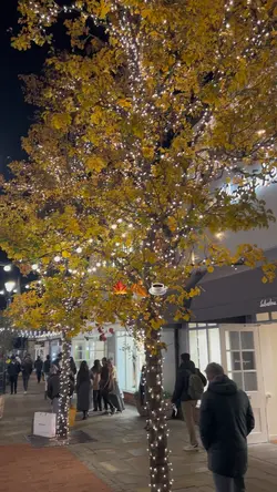 Fall 