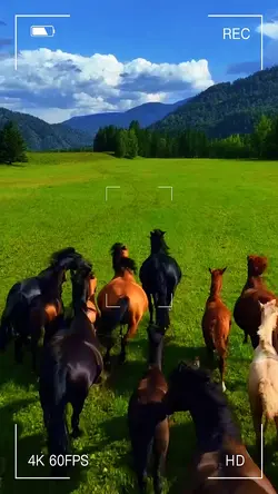 10 video or photo