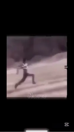 Free Edit