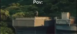 Dinosaur 🦖 