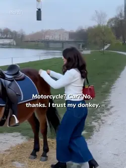 my cute donkey