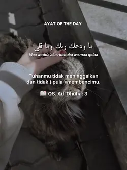 Ayat Of The Day 