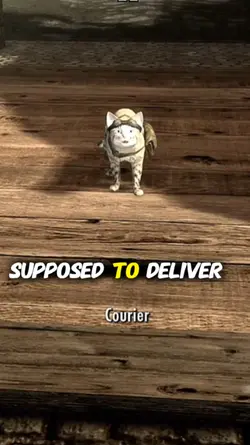 Skyrim Courier Meme