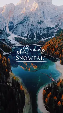 Beauty of Snowfall