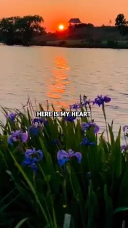 Here is my heart