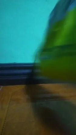 Video template 