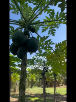 buhay probinsya🍃