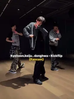 FANCAM