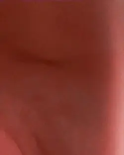 1 vid and all pictur