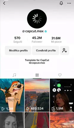 Tik Tok Famous