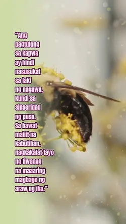 Maging matulungin
