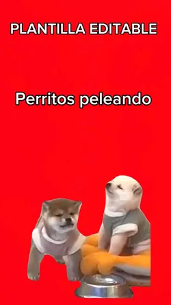 Perritos peleando 