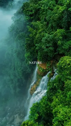nature therapy
