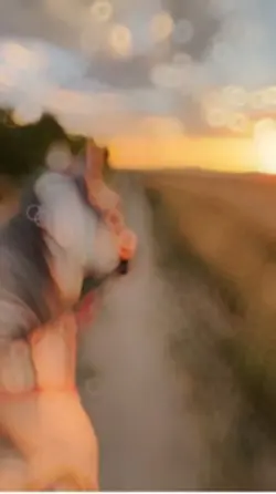 Slowmotion 