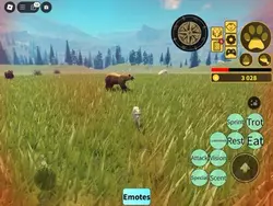 Three bears 😭 