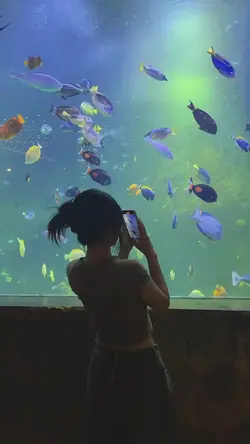 vlog aesthetic 8clip