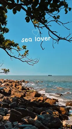 Sea lover 🪼