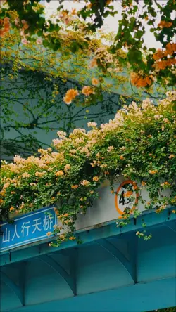 Ghibli vibes