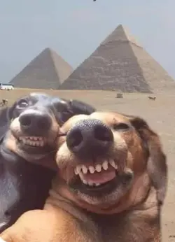 o casal mais lindo