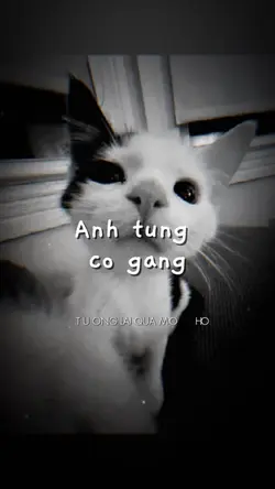 ANH TỪNG CỐ GẮNG 