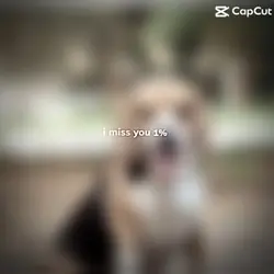 I miss you %