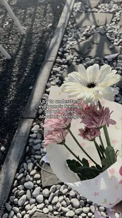 hm