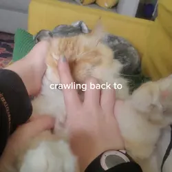 I miss purplexpink
