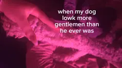gentlemen 