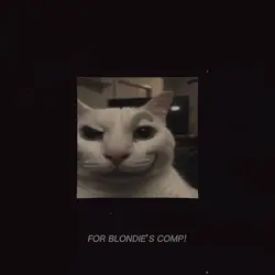 comp submission