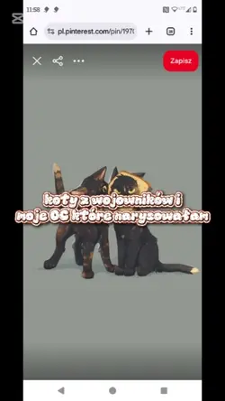 rysunki