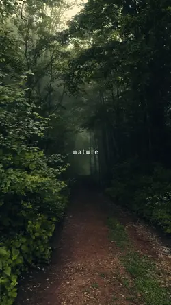 nature, therapy