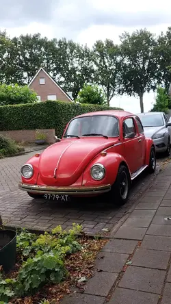 vw beetle