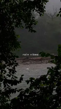 rain vibes
