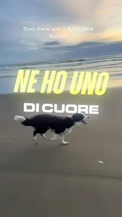 Amore