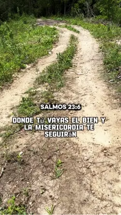 Salmos 23:6