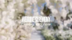 cinematic wedding