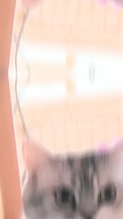 珈琲タイムしよ