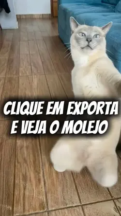 Gato dançando Ia