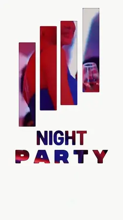 NIGHT PARTY