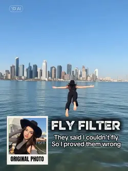 Fly filter