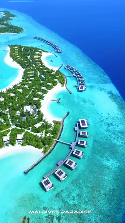 Maldives Wonders🏝️