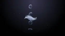 water intro