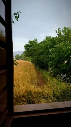 Village life
