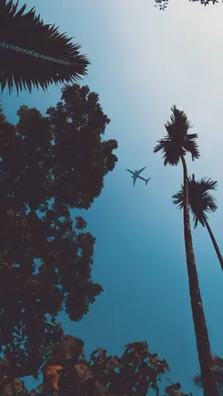 SUMMER VIBES DUMP