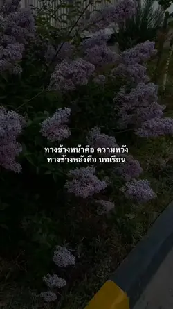แบบ2