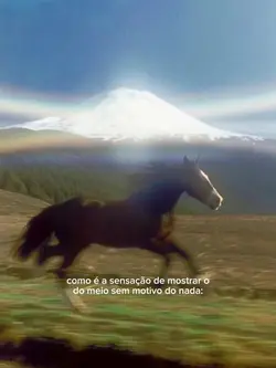 trend sensação caval
