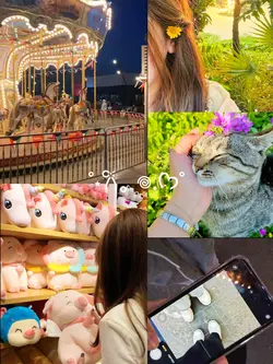 5 pics